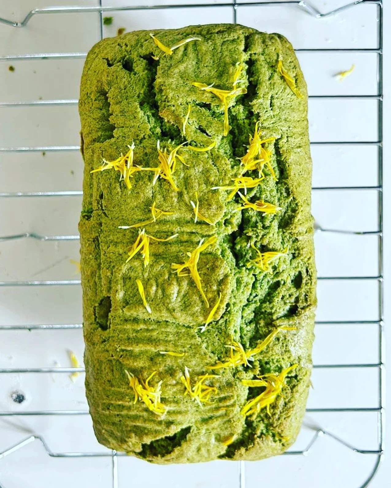 Nettle, dandelion and lemon cake. Courtesy of the 9-year-old green witch in my life 💚 

#foraging #foragedfood #baking #healthybaking #seasonalbaking #foragedbakes #greenwitch #whitewitch