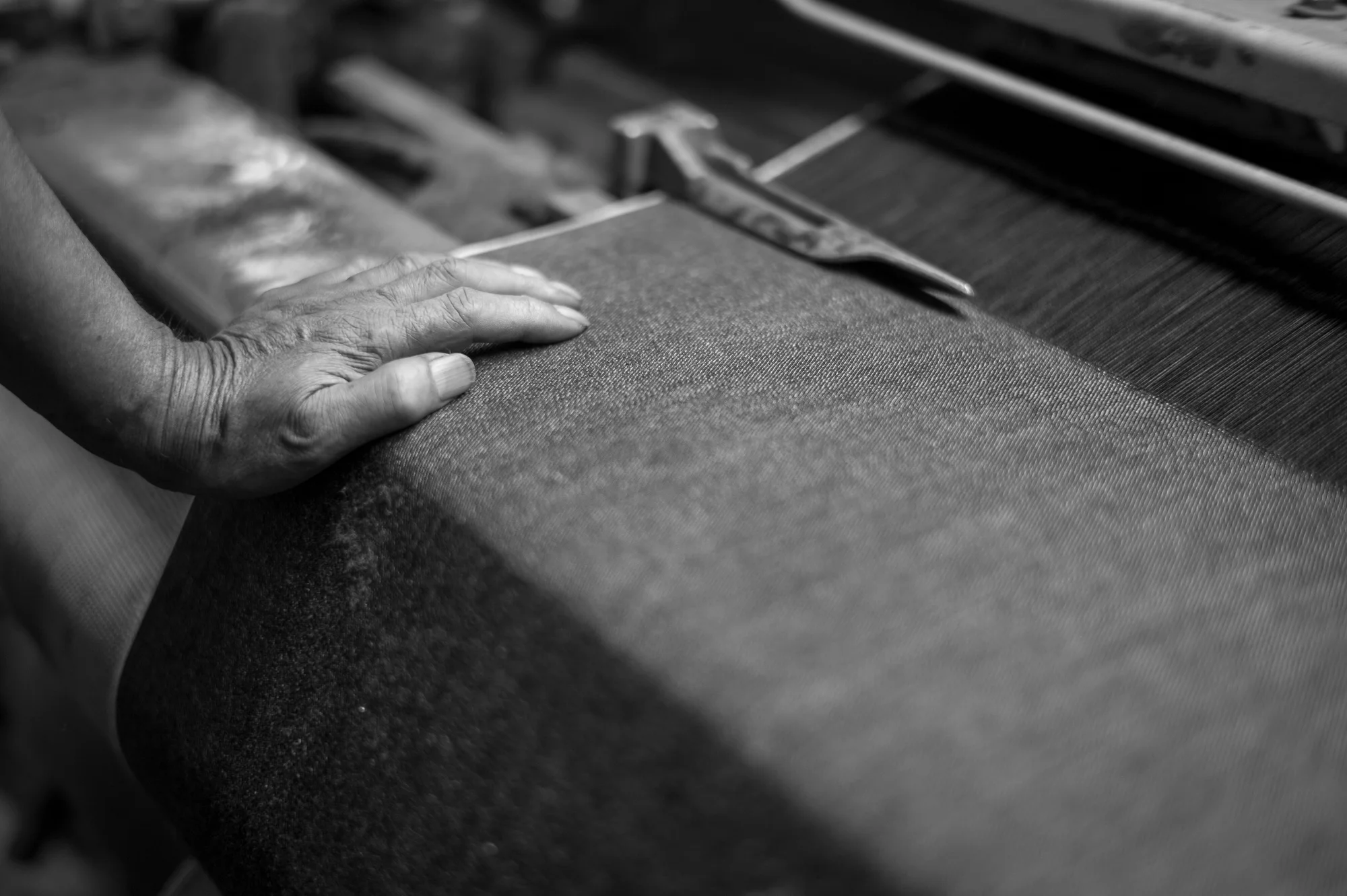 Momotaro GP © Adam Marelli-5.jpg