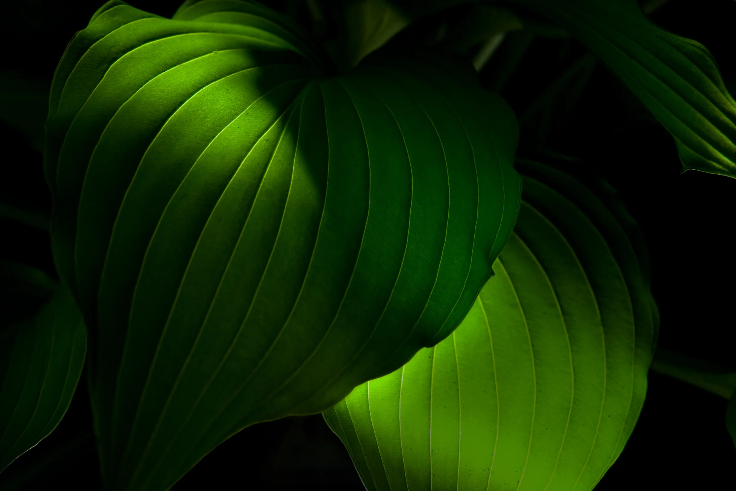 Term3_269-Edit.jpg
