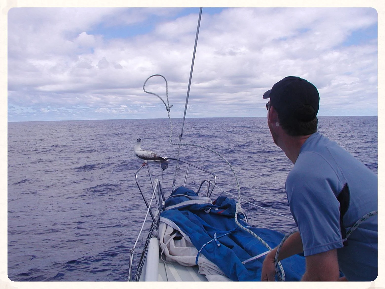 Me attempting to catch a bird - North Pacific Ocean