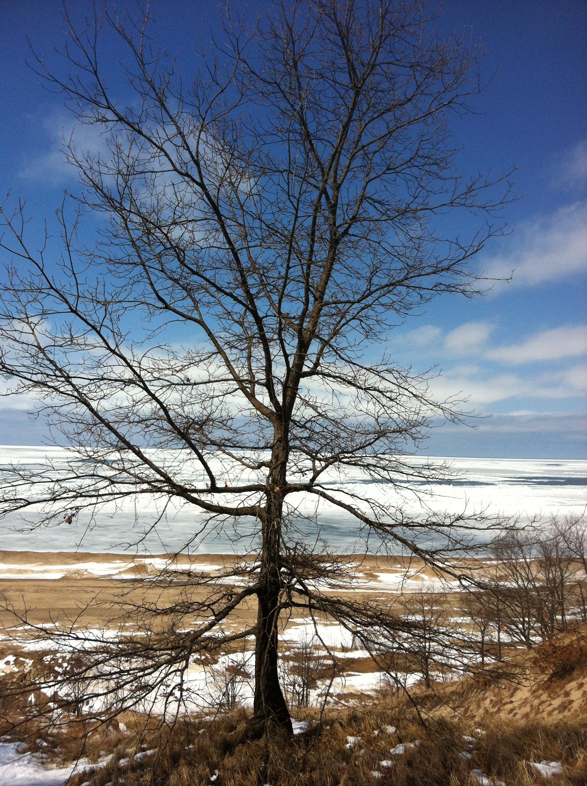Silhouetted against the blue sky of his native Lake Michigan.