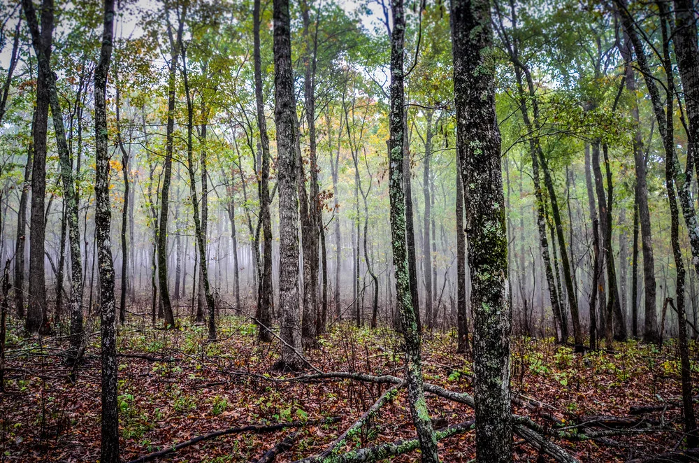 _DSC7486-2252487745-O.jpg