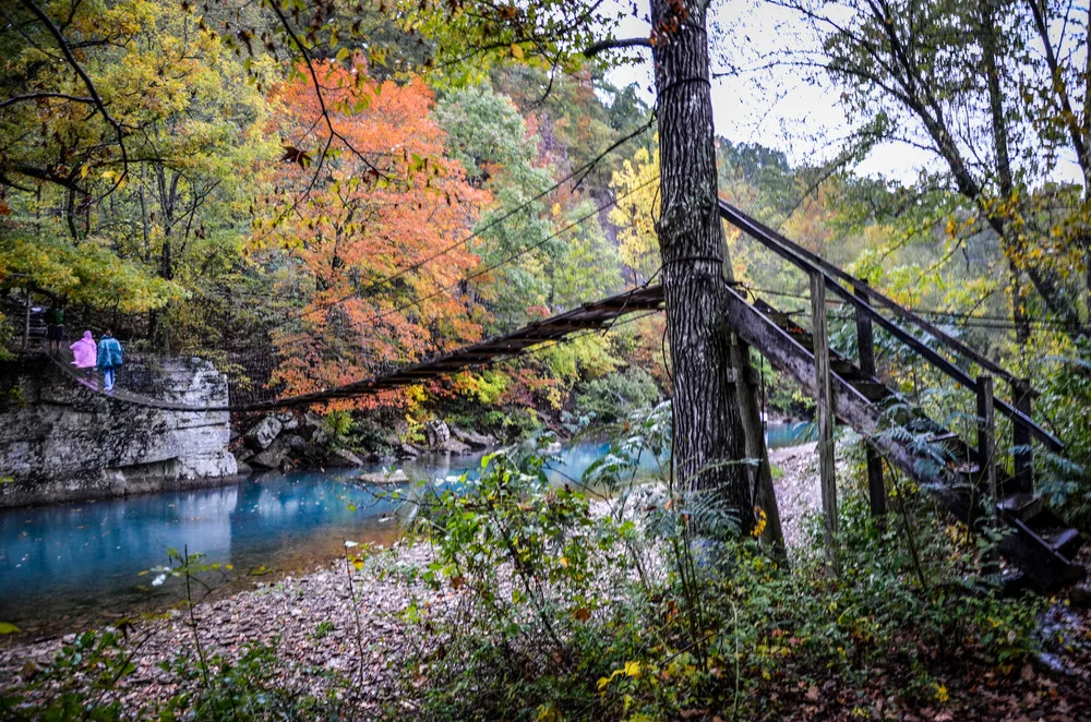 _DSC7347-2252490802-O.jpg