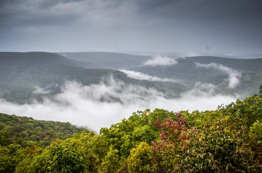 _DSC7438-2252492452-O.jpg