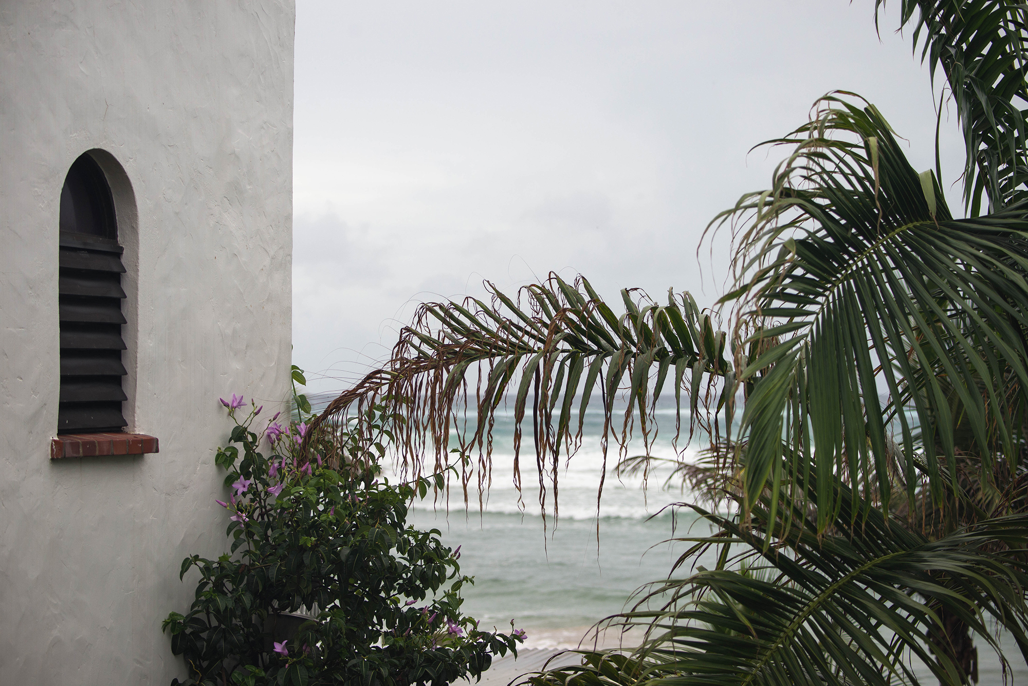 DSC_2038.jpg