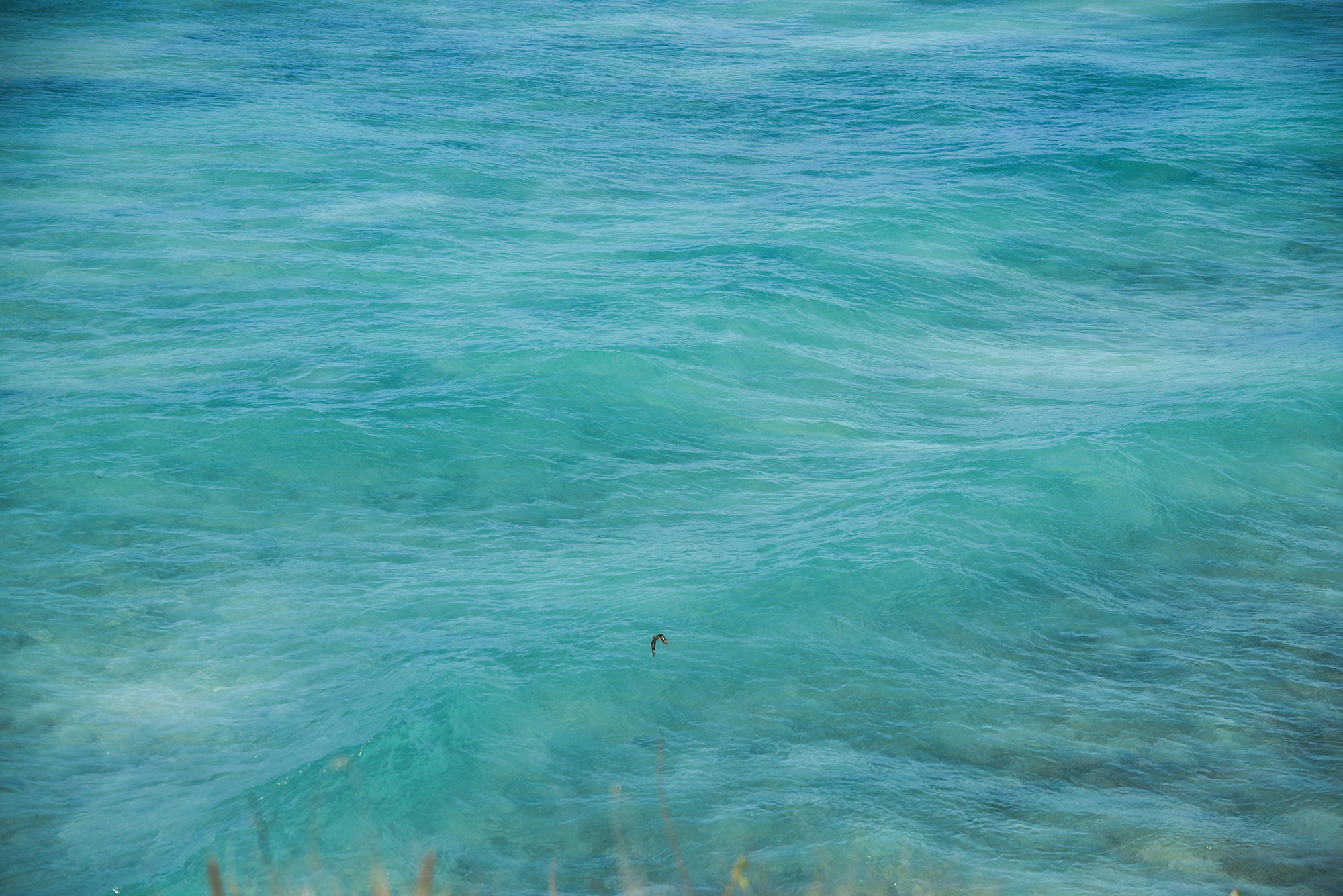 DSC_9621.jpg