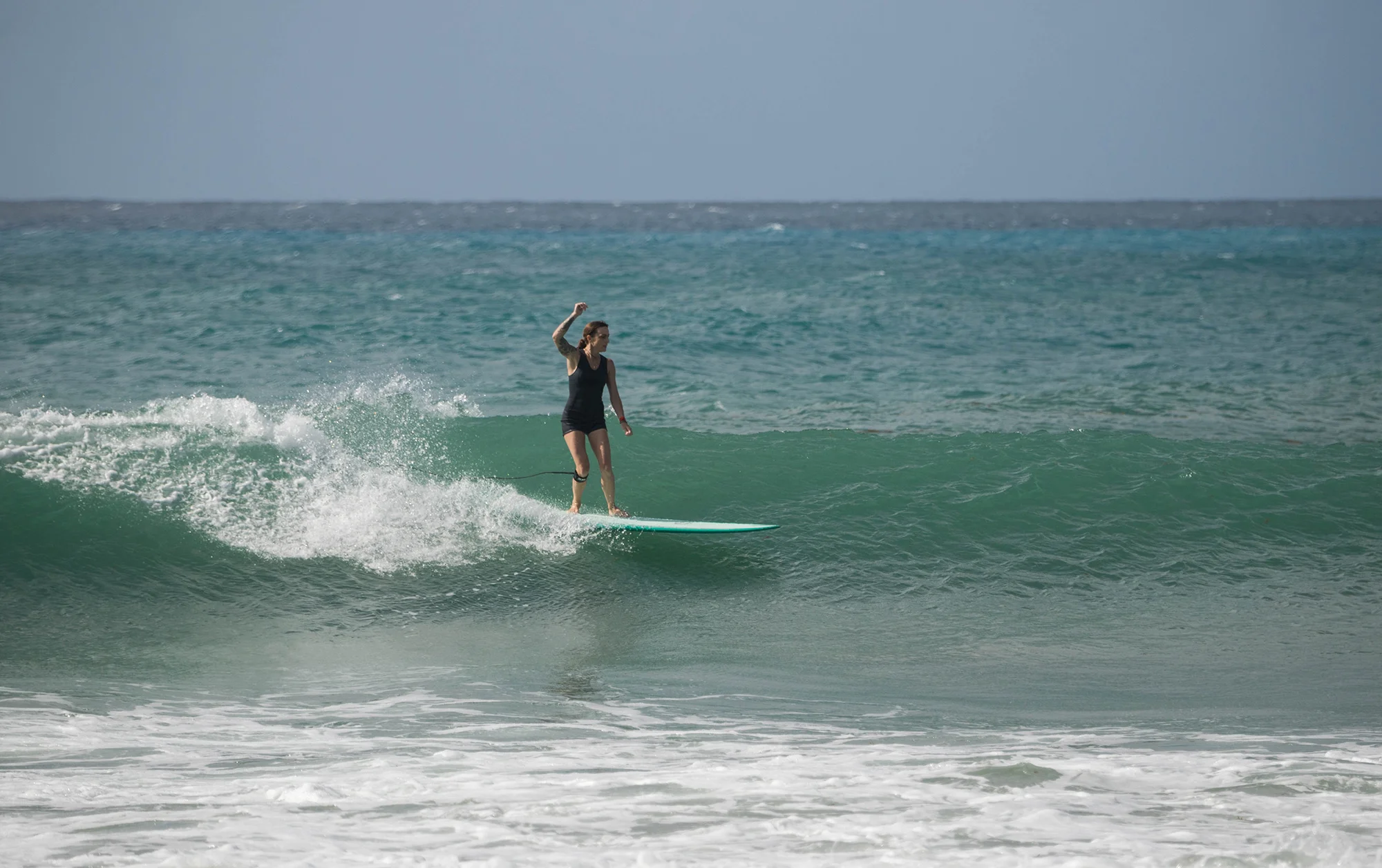 DSC_2295.jpg