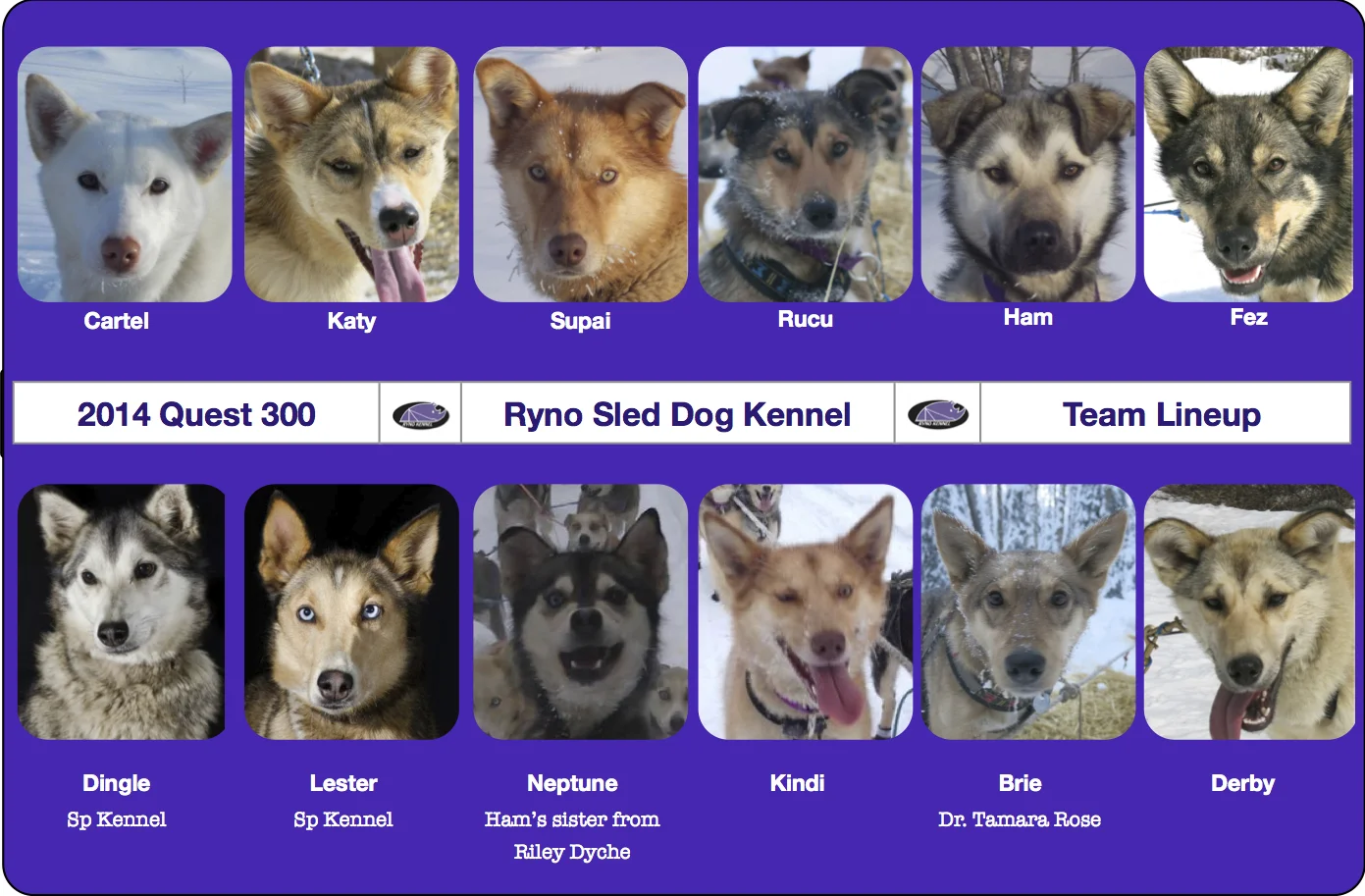Quest 300 Lineup.jpg
