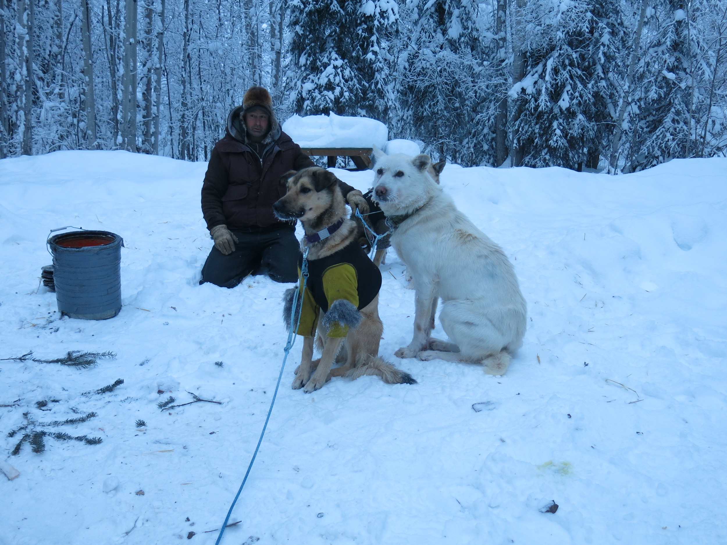 3rd: what is third? Everything is done right: ran into town, treats/food eaten, poked and prodded by those wonderful vets, booties off? Where is that tent they told us about?