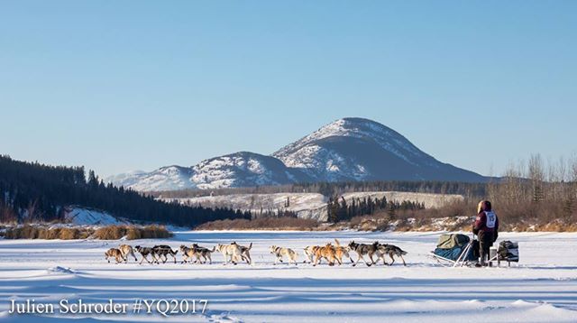Following is a picture shared by Murray Lundberg; taken 4 hours down the trail on the Takhini River.