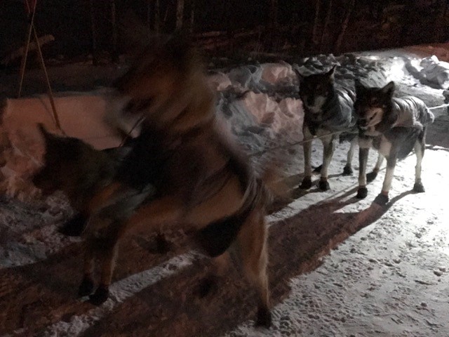 But by 9:30 PM, Ryne had the team headed down the trail.