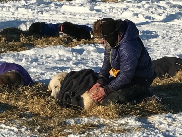 Another great meal from the volunteers before a short nap for our favorite musher.