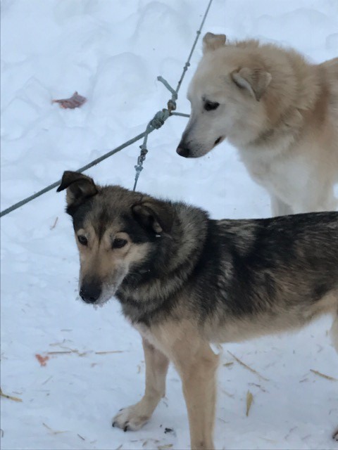 Jana & Lefty patiently wait their turn
