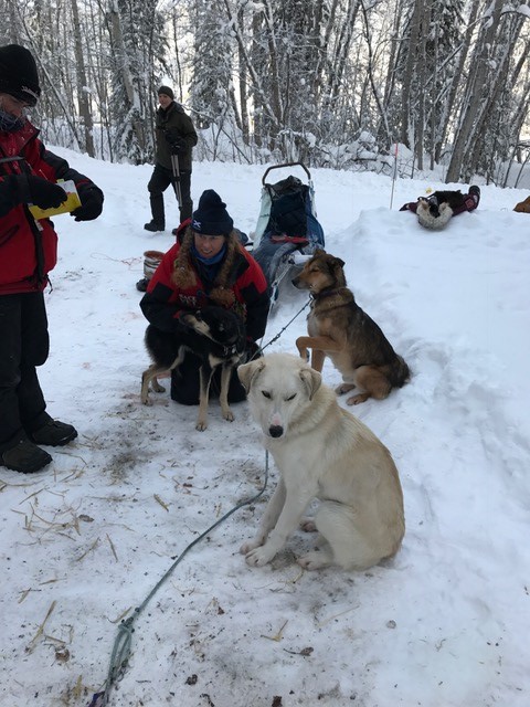 Niagra's turn while Rucu and Finton wait for their turns.