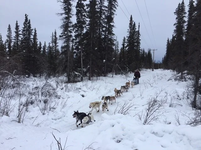 05 Ryne on trail.jpg