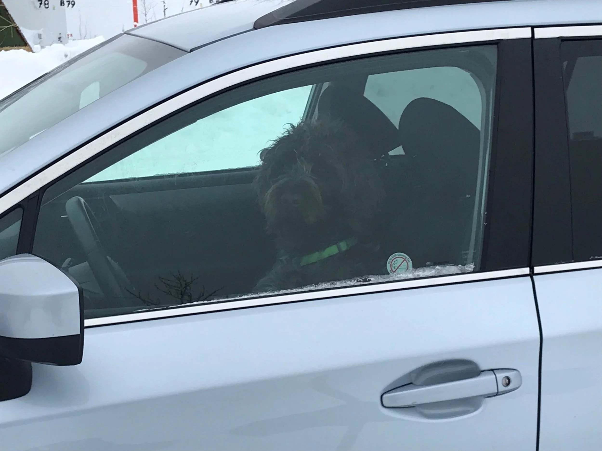 32a sasha as driver.jpg