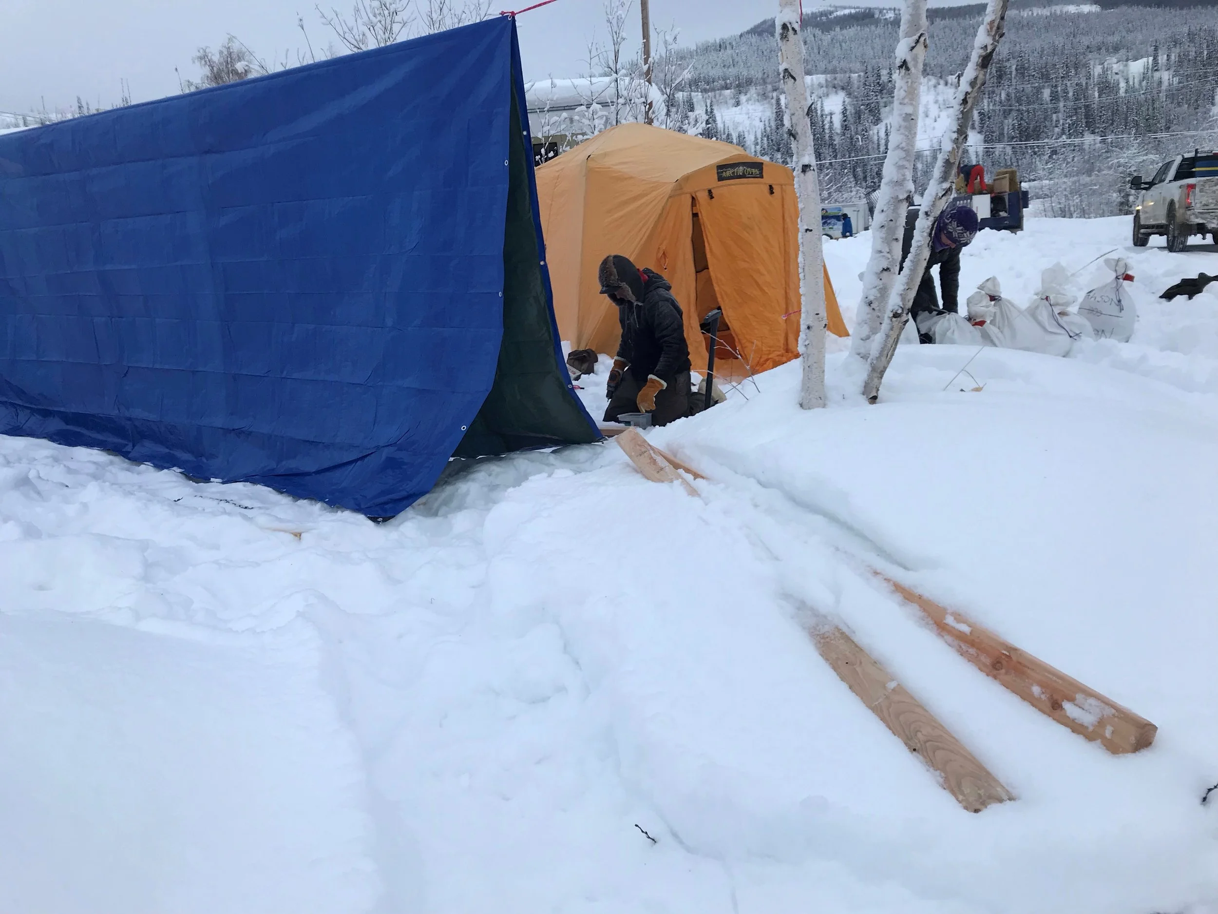 43 dog tent.jpg