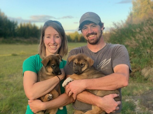 Tilly and Umpqua joining Shaynee and Jeremy at Howling Ridge Kennel.