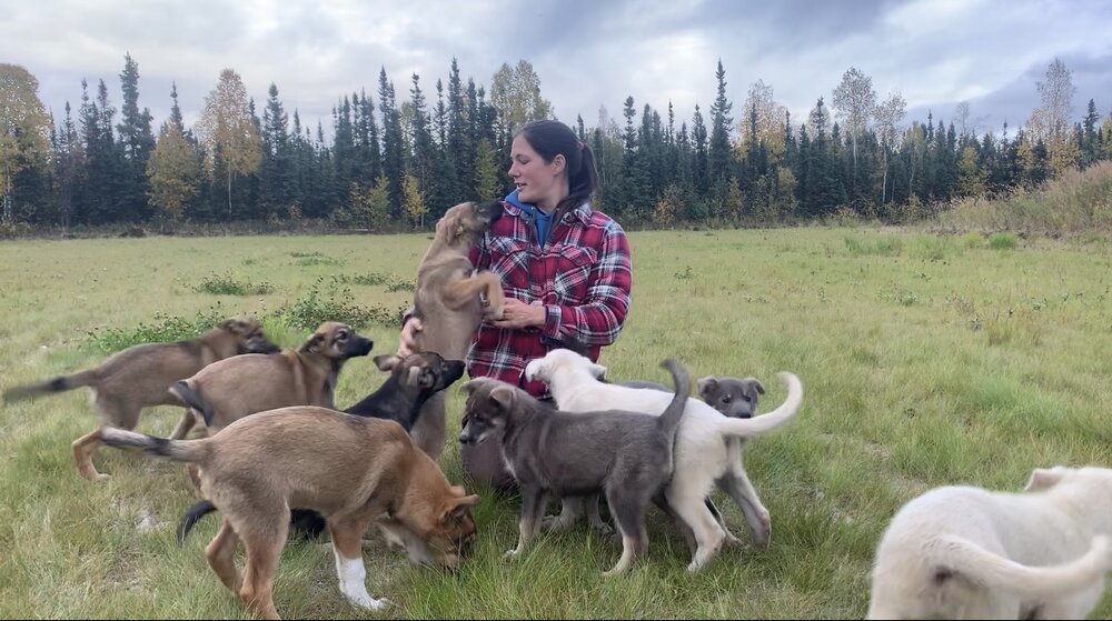 Puppy play time