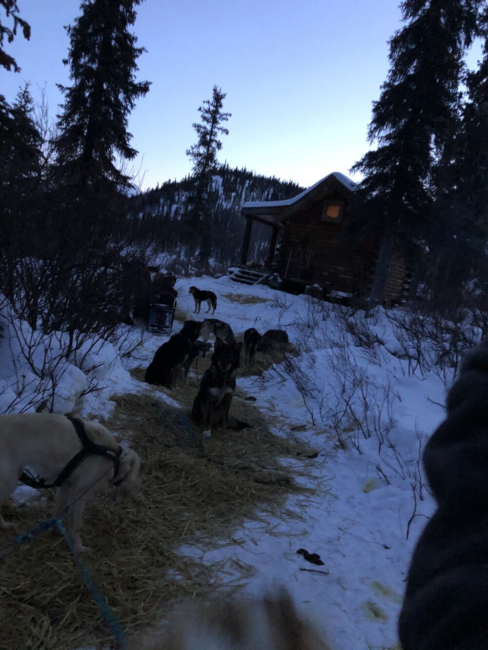 image1(3).jpeg