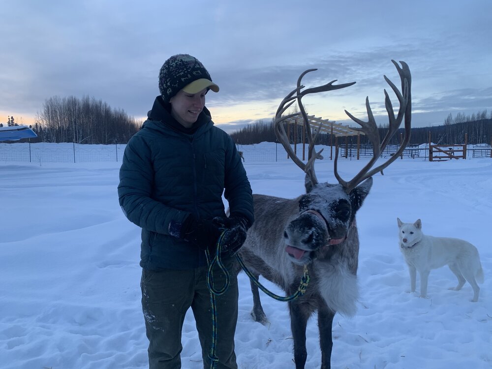 Kalyn’s new reindeer named Sappho!
