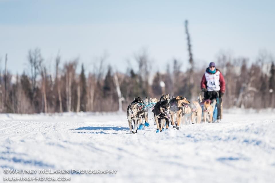 Photo credit: whitney mclaren photogrApHy mushingphotos.com