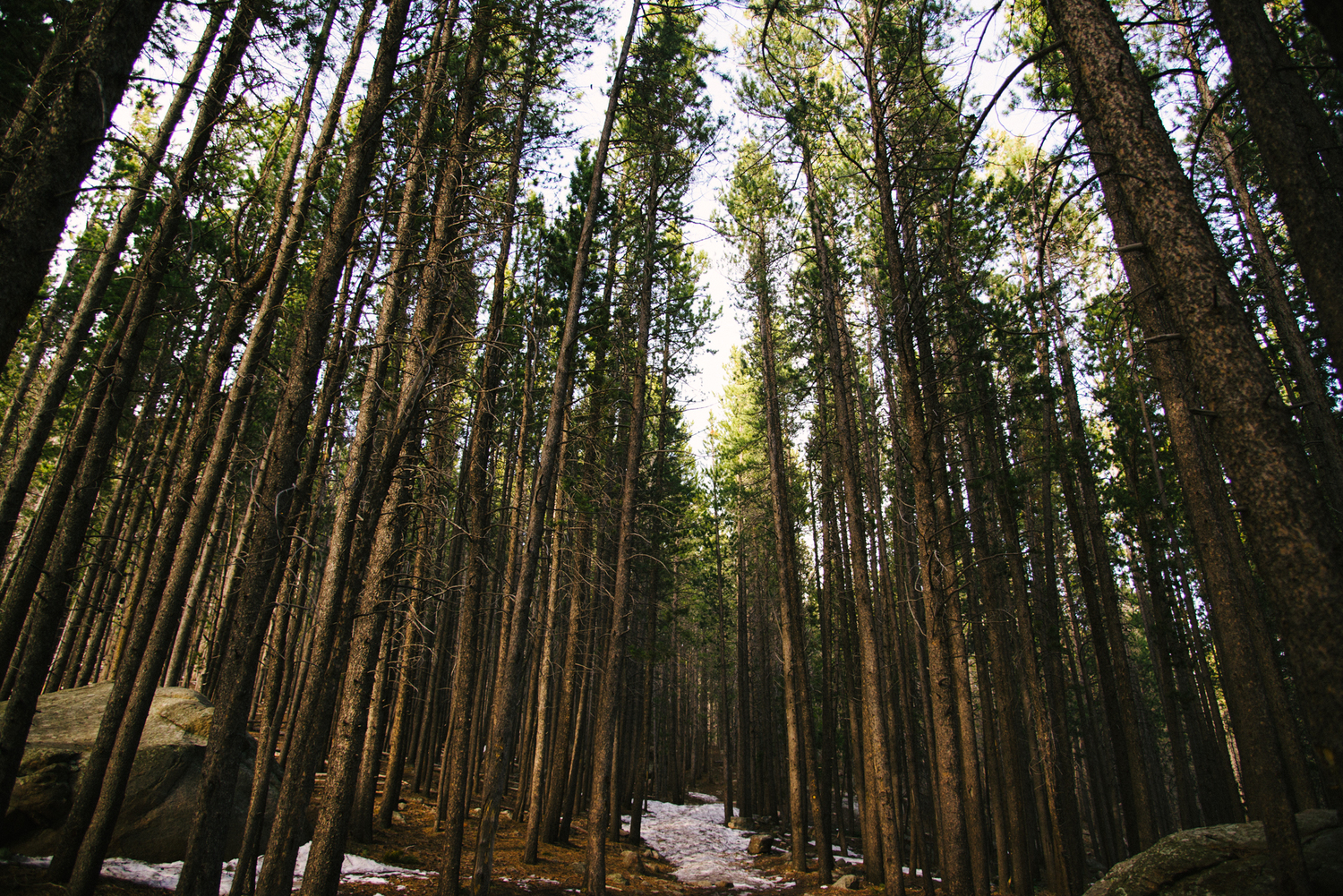 the great state of colorado - april 2015