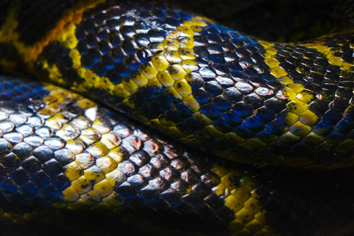 the omaha zoo through my fuji x-t1