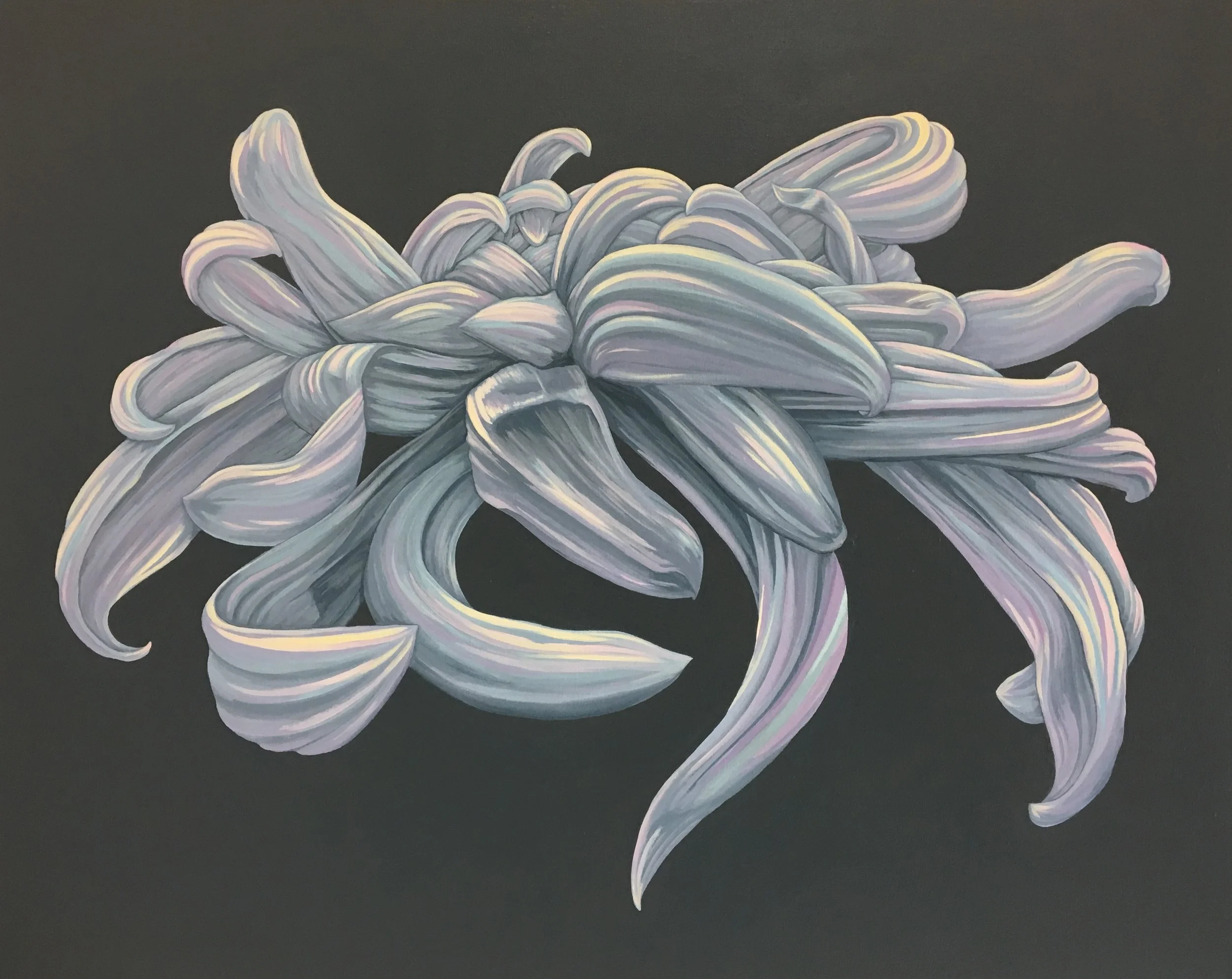Azure This abstracted chrysanthemum was inspired by the cumulus clouds found in the Texas skies. acrylic painting on 24" x 30" wrapped canvas $1900.00