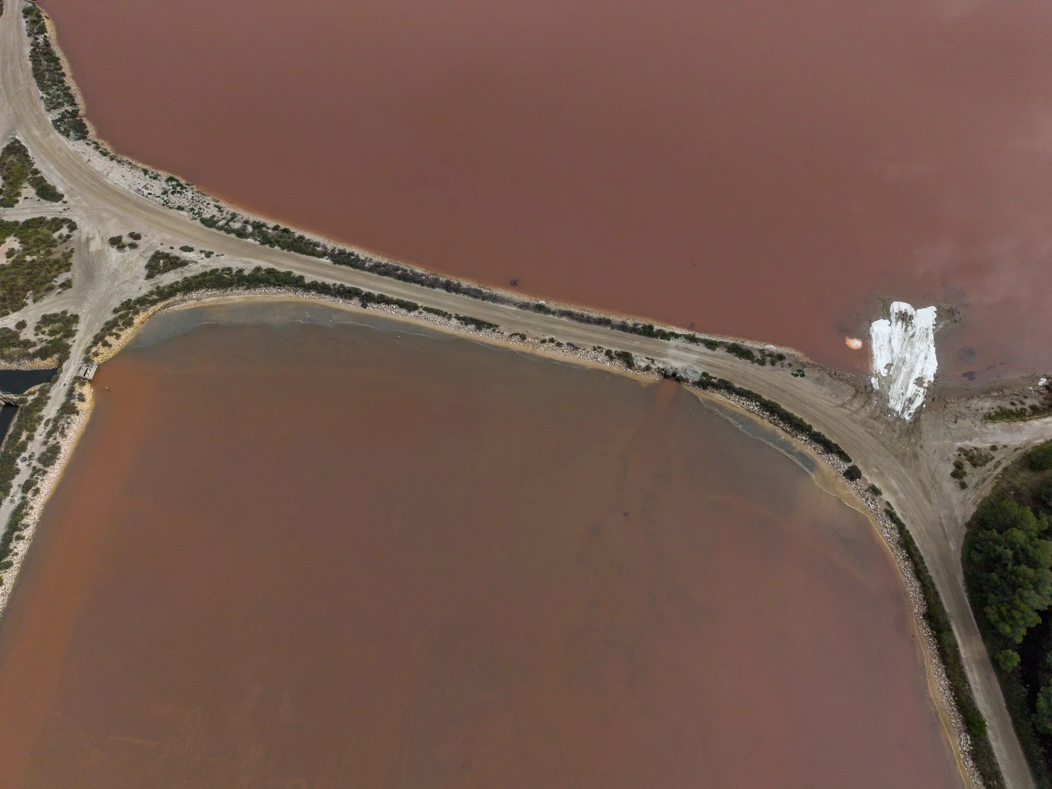 DJI_20260305143630_0454_D.jpg