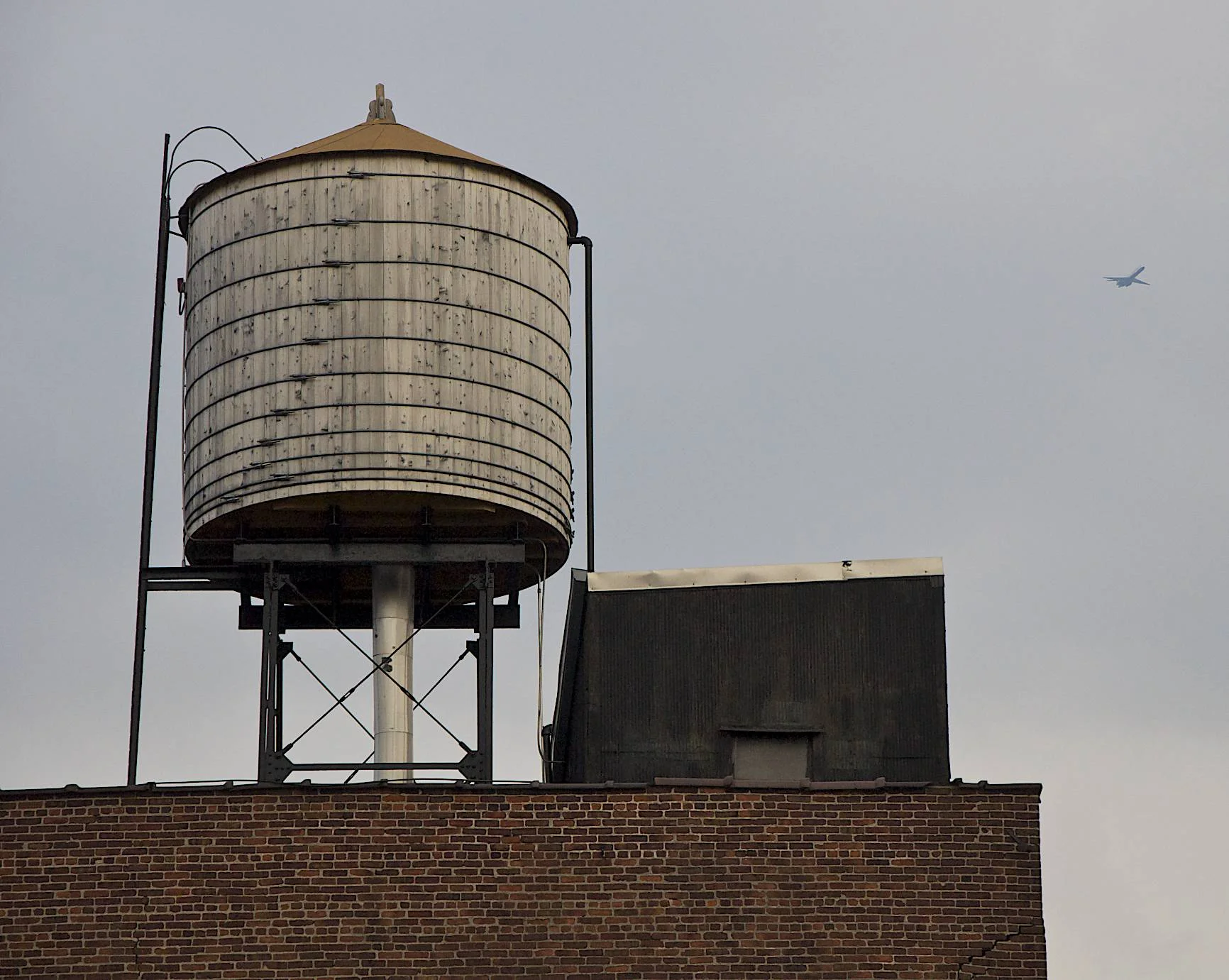 DSC_0028 1.jpg