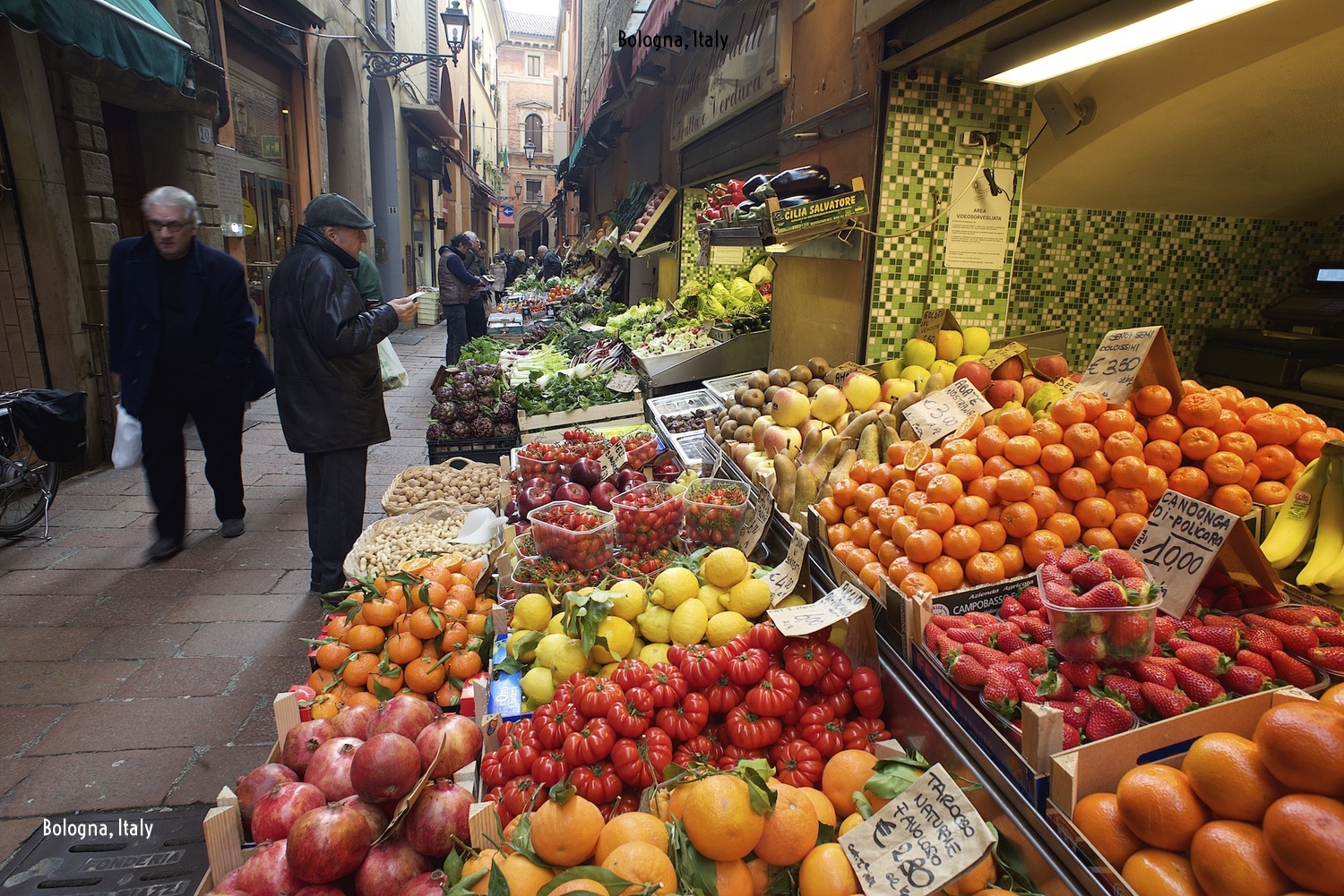 Bologna