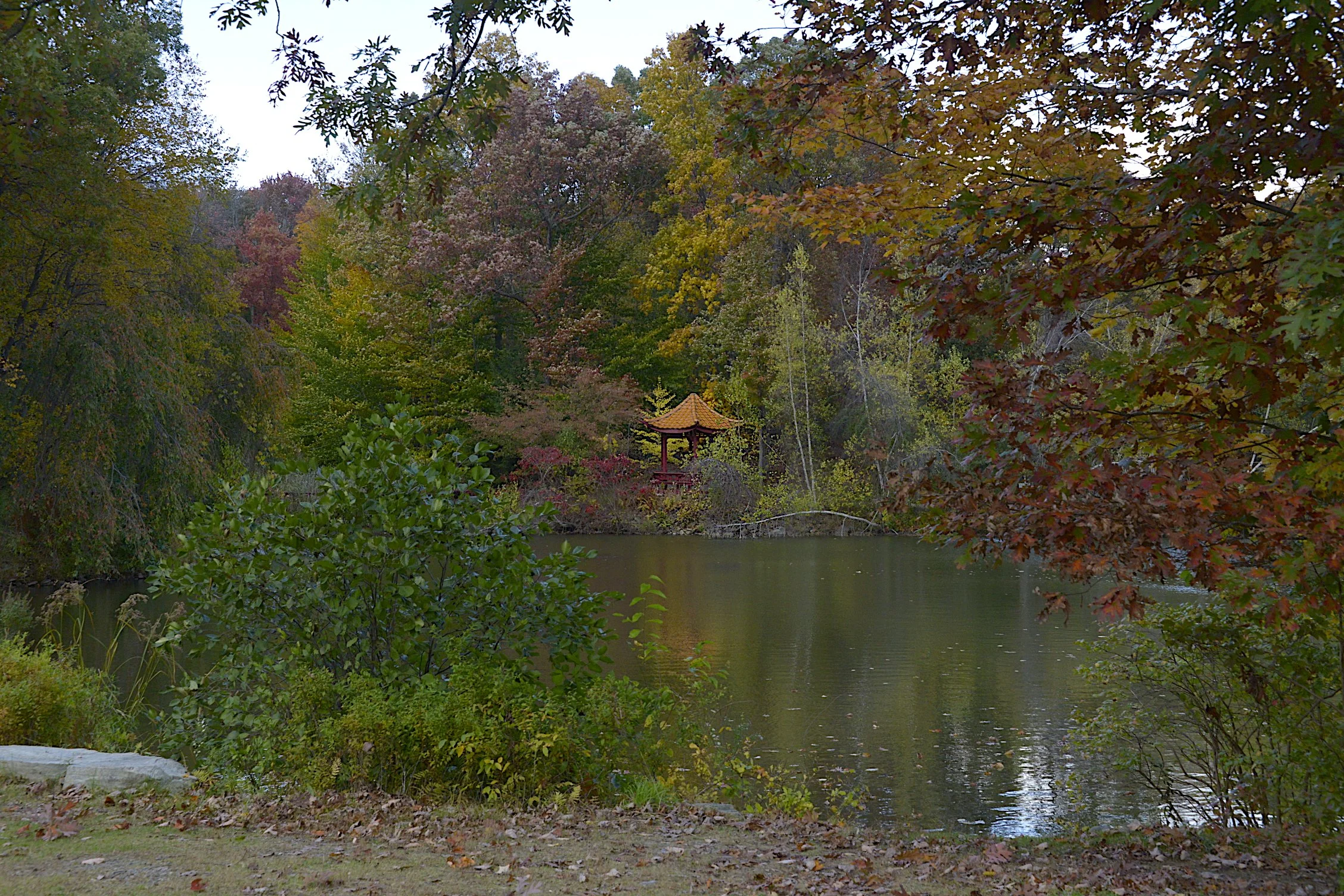 _DSC9450.jpg