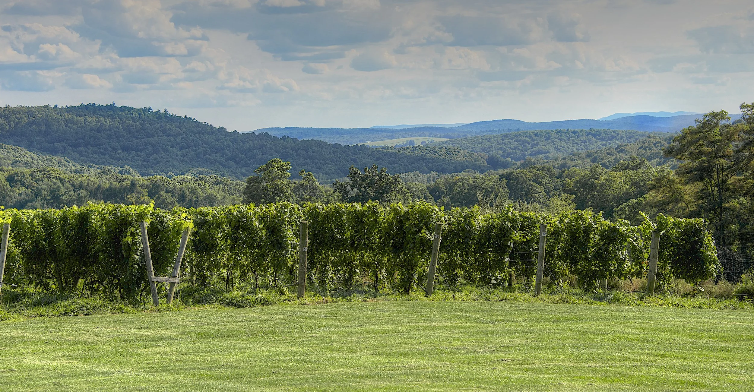 Millbrook Winery