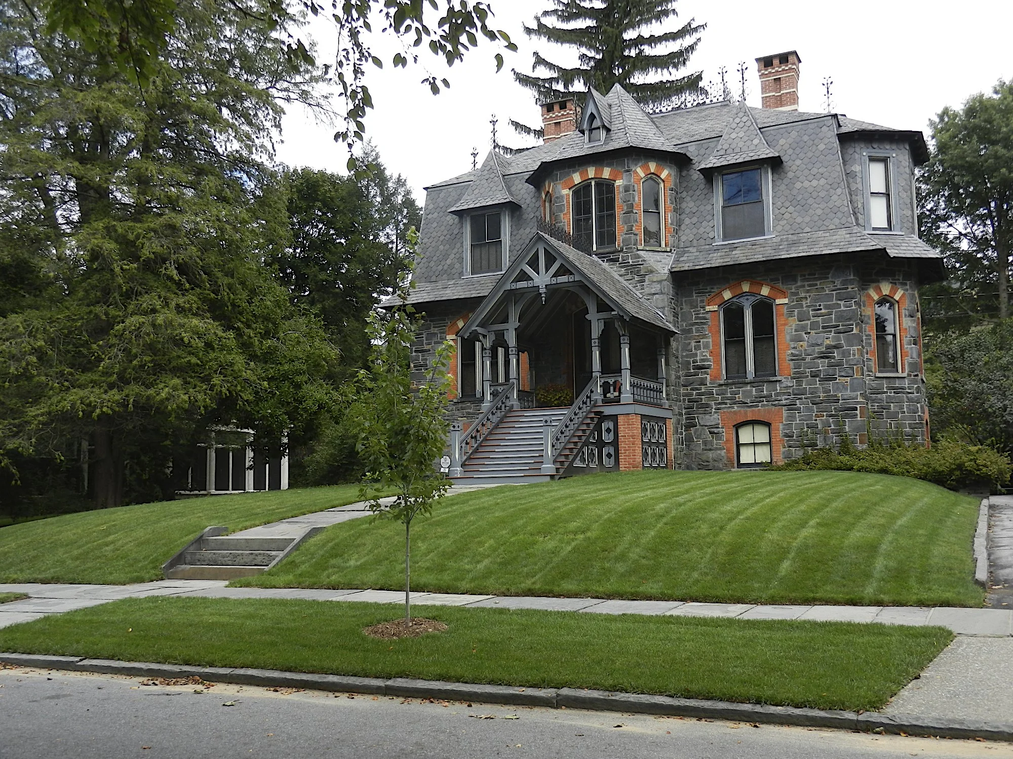 DSCN1677.jpg