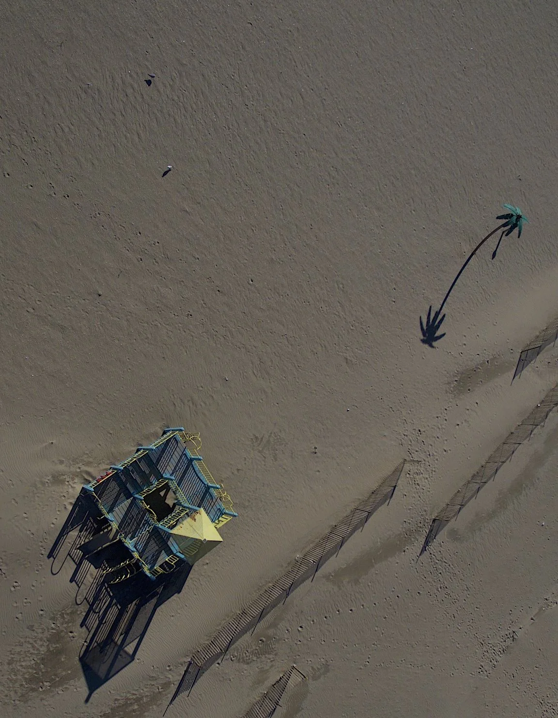 DJI_0087 - Version 2.jpg