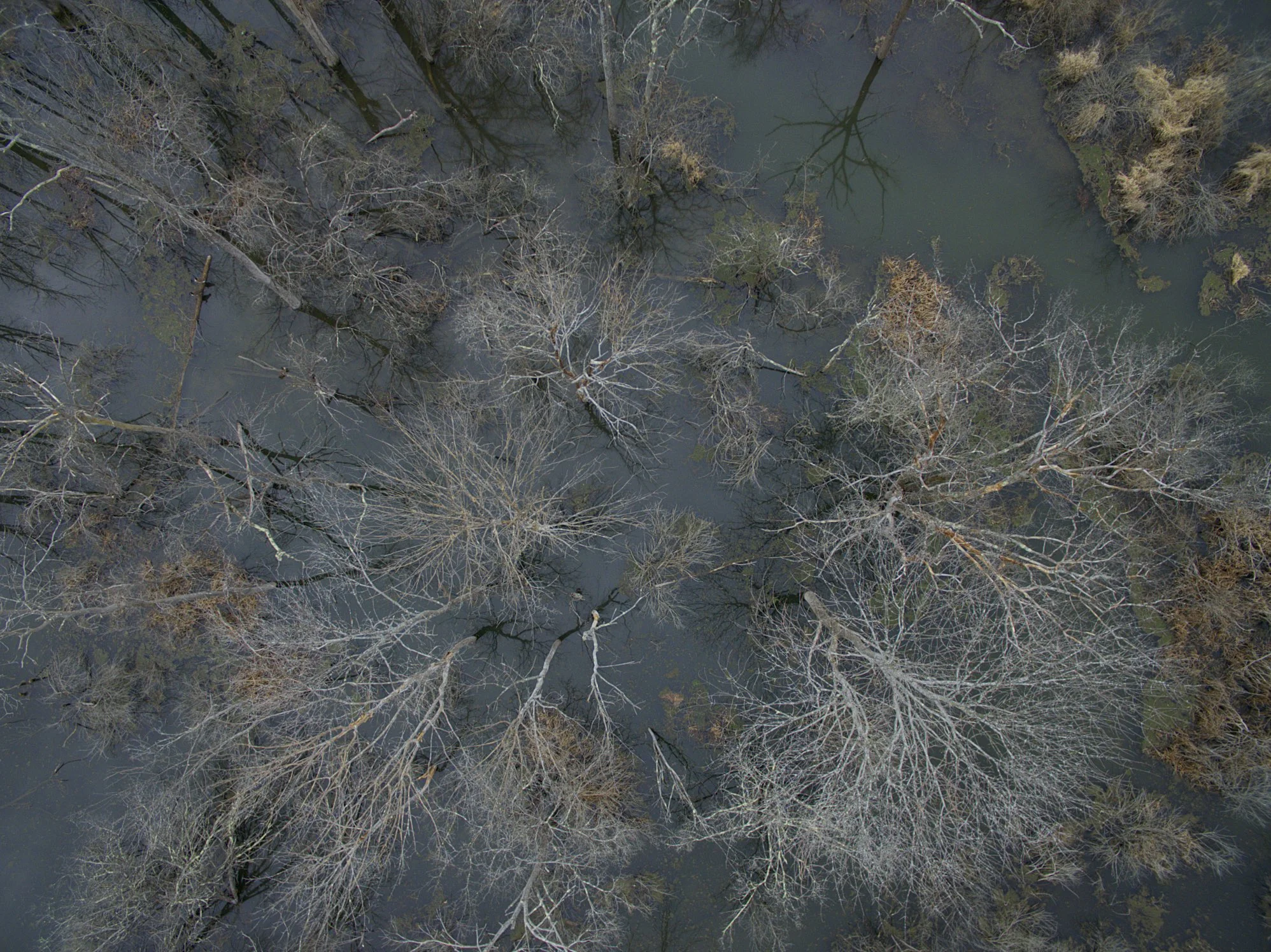 DJI_0007.jpg