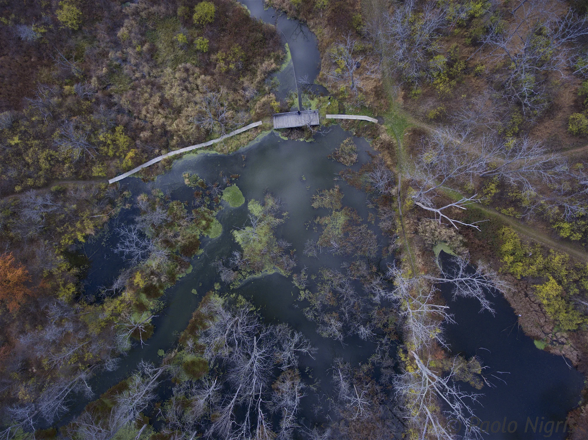 VassarFarm 004.jpg