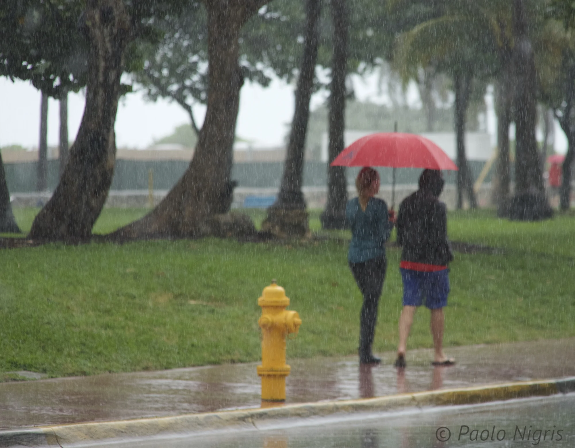 rain 040.jpg
