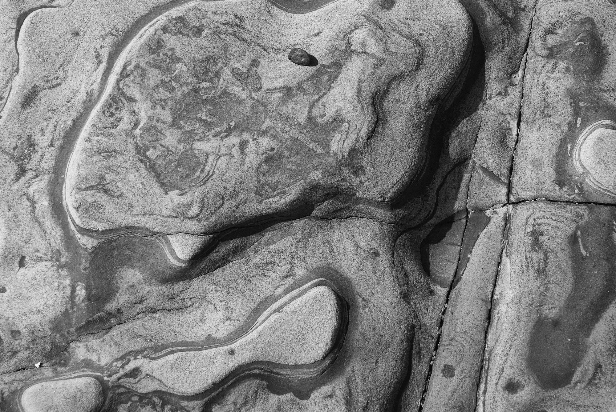 B&W 016.jpg