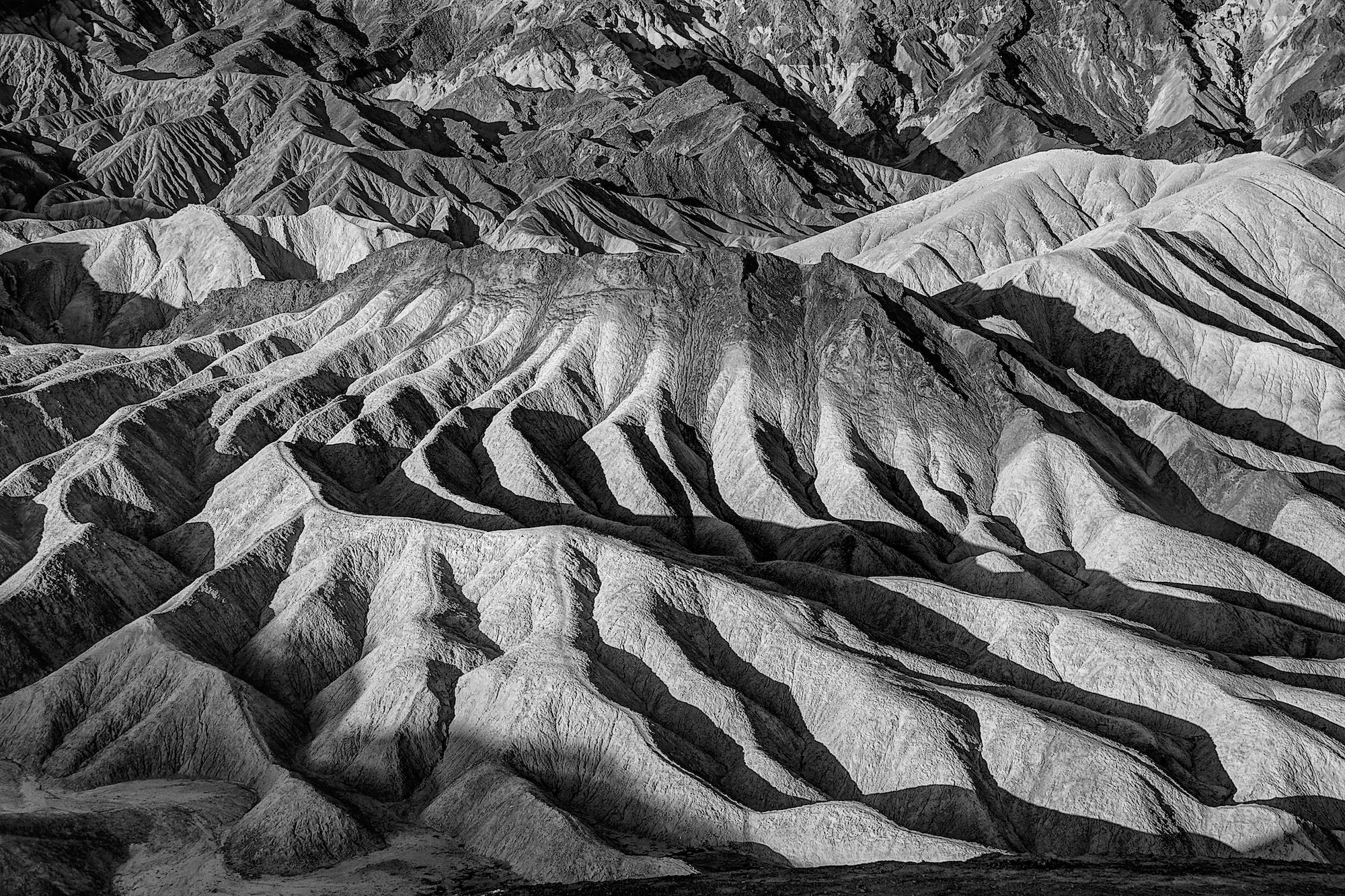 B&W 045.jpg