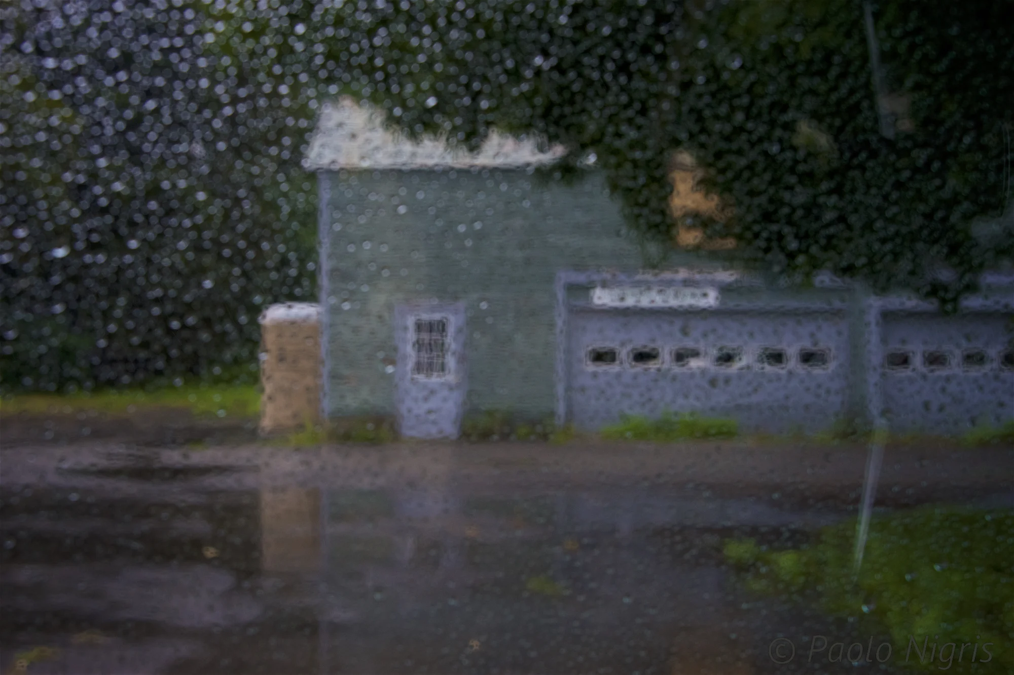 Rain 001.jpg