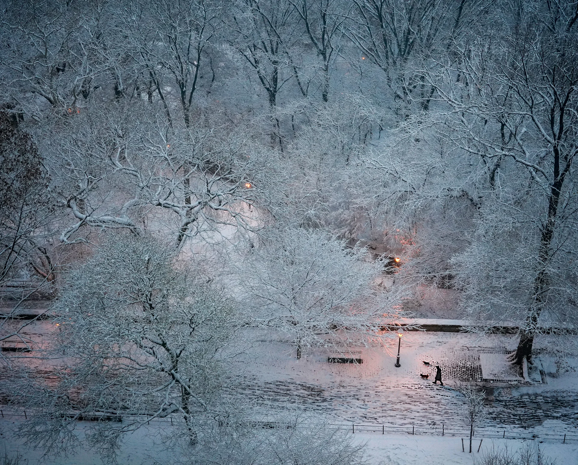 WinterStroll_1920.jpg