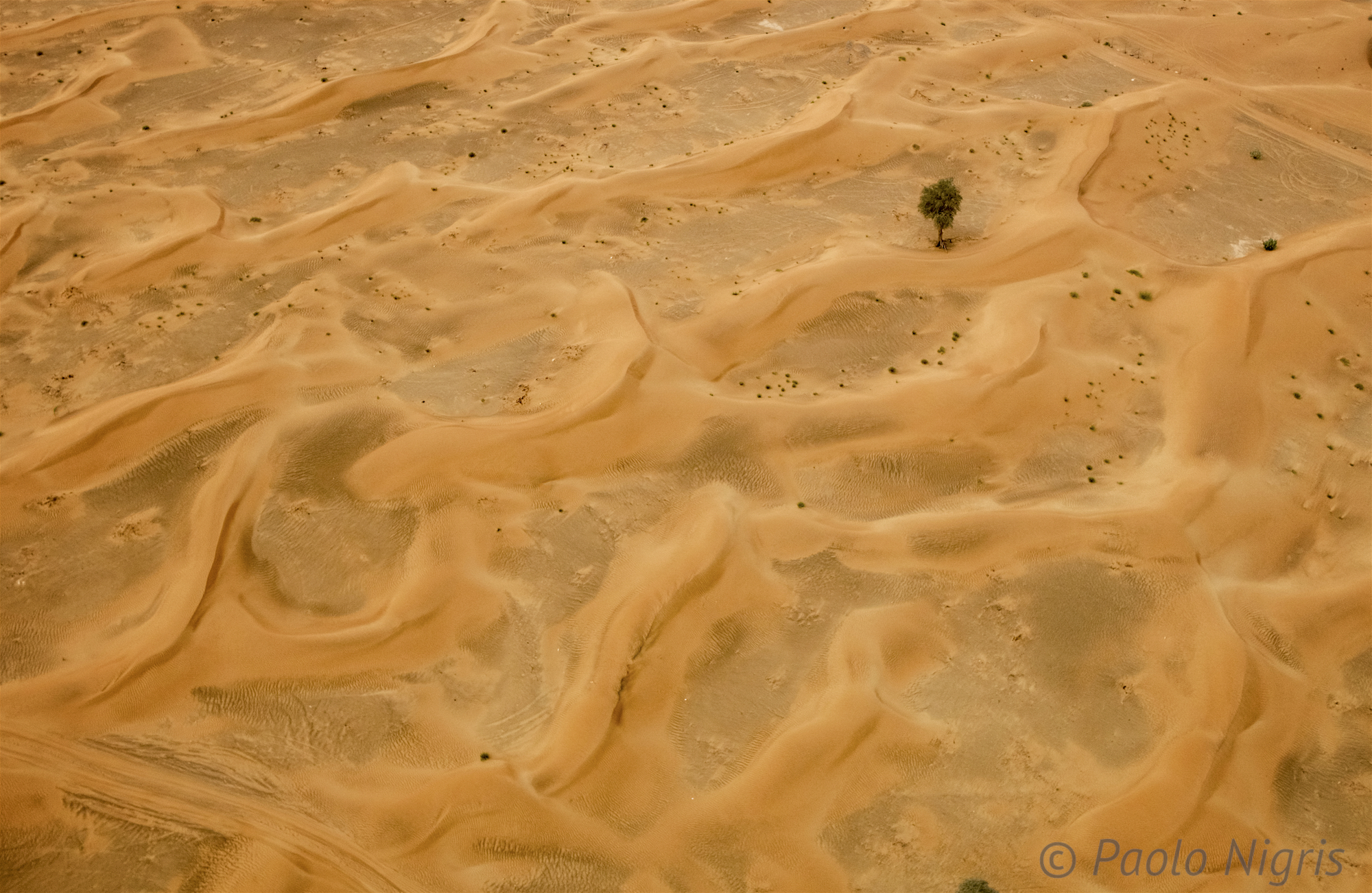 Dubai, UAE