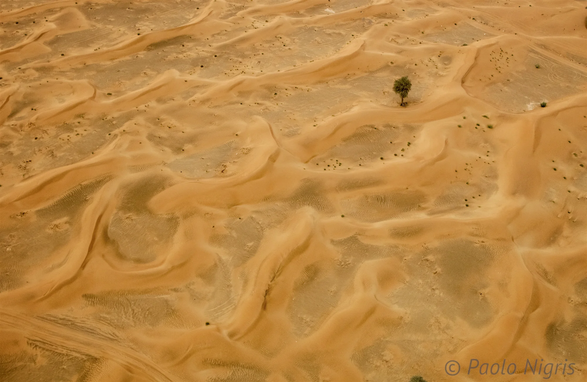 Dubai 015.jpg