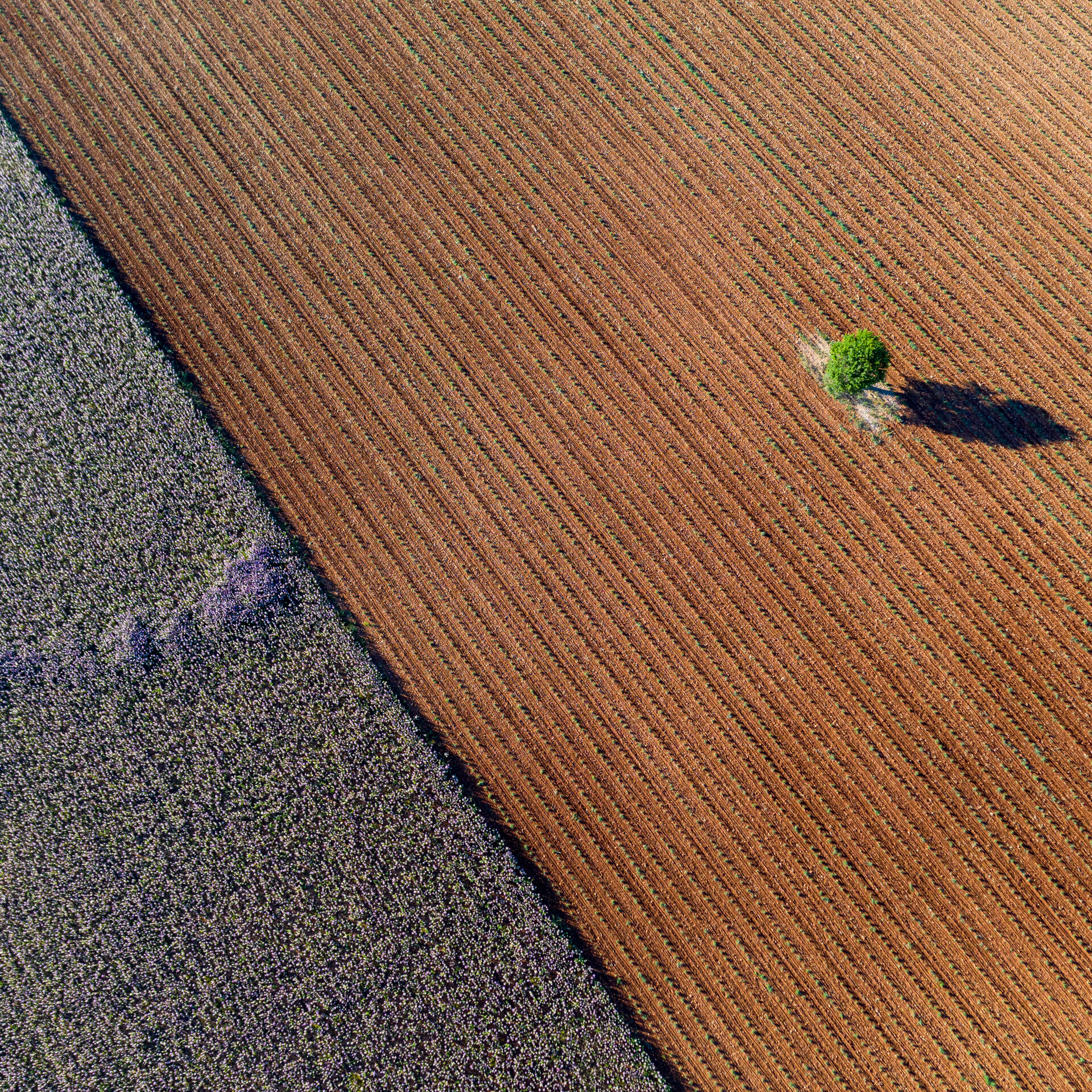 Provence_DJI_0535.jpg