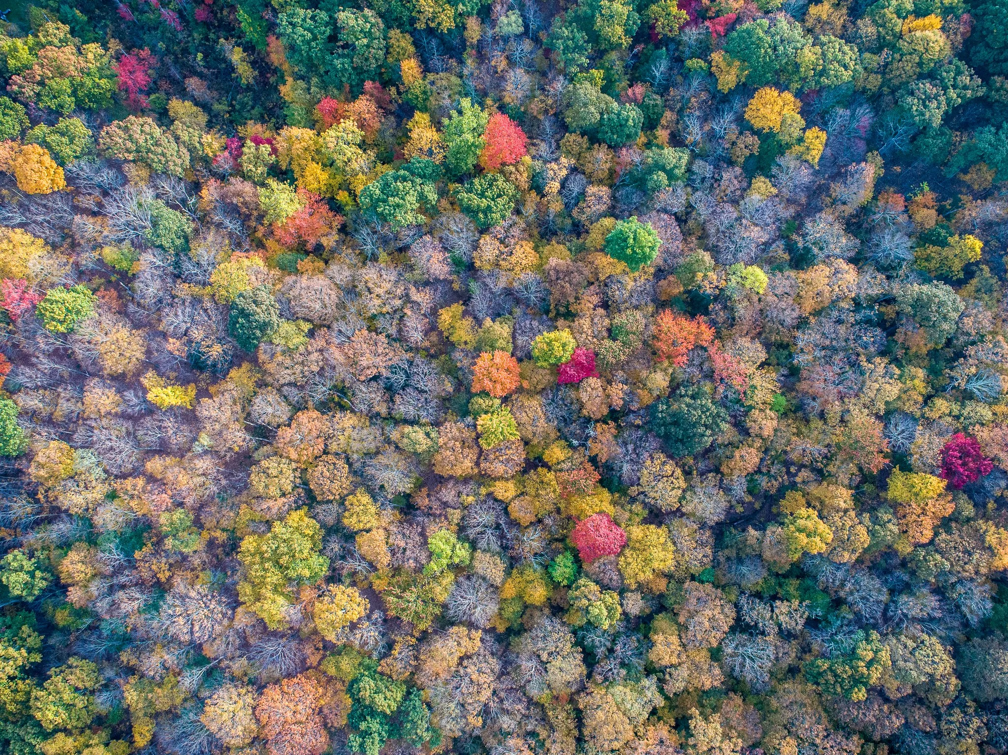 DJI_0636.jpg