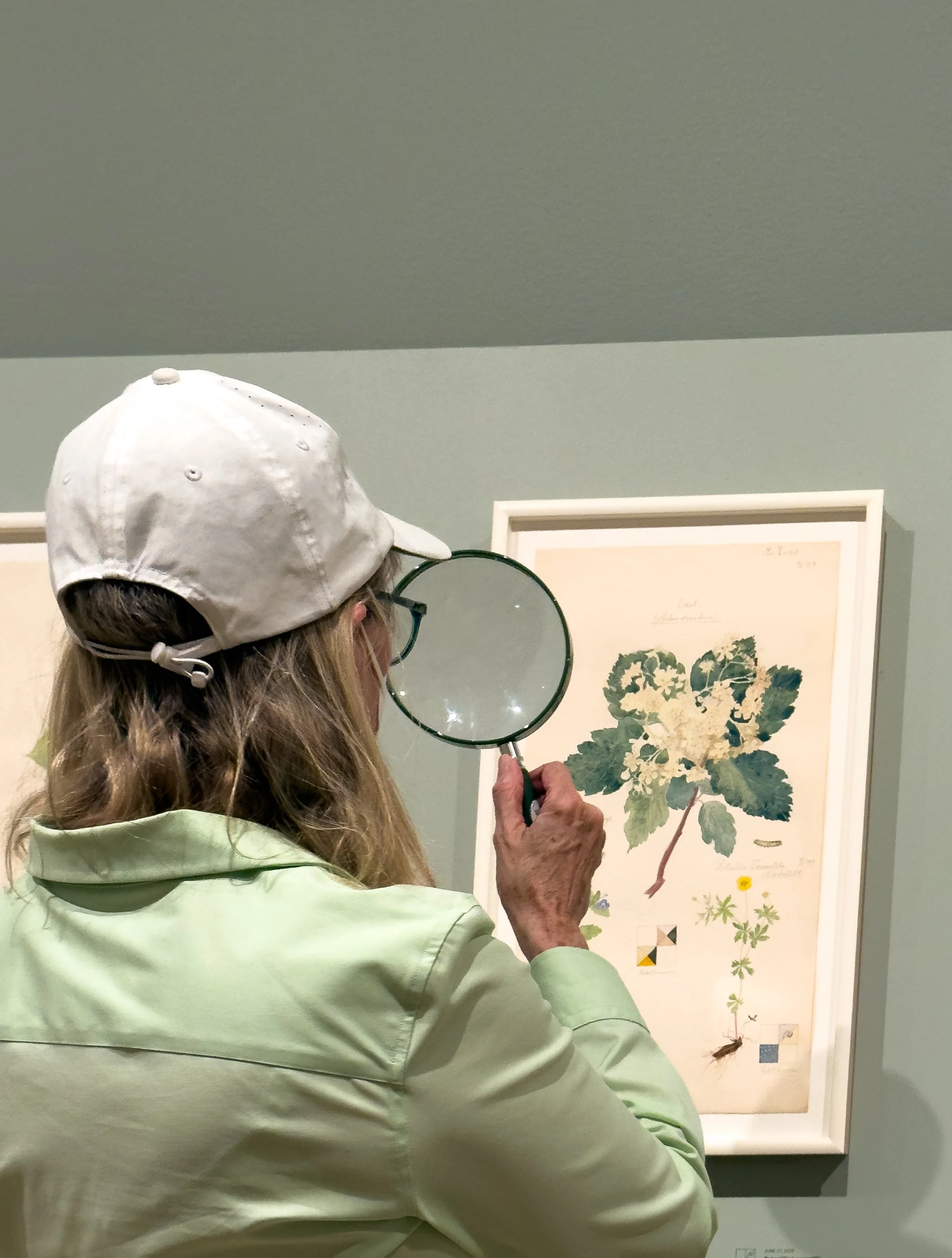 Hilma af Klint - MoMA, NYC