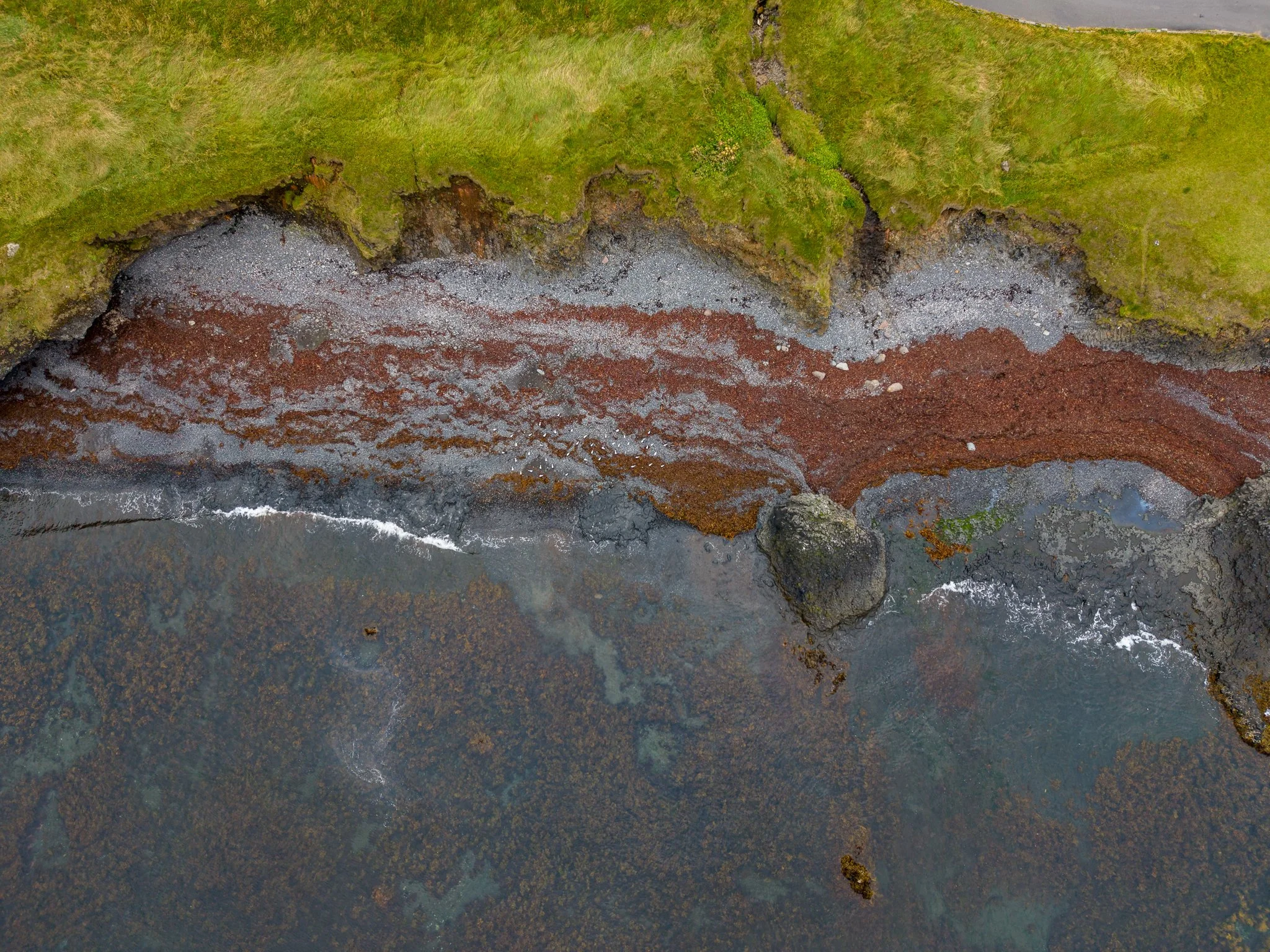 DJI_20260820130313_0218_D.jpg