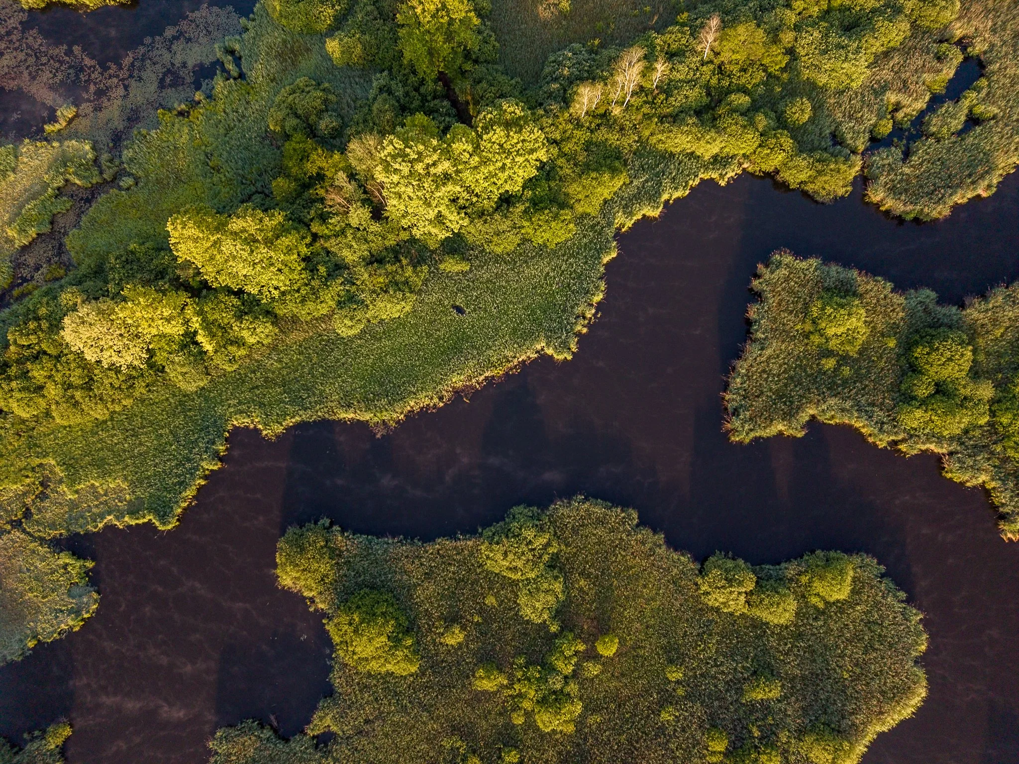 DJI_20260522064252_0033_D.jpg